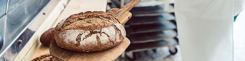 frischgebackenes Brot wird mit Schaufel aus Ofen geholt